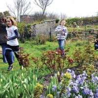 Murs à pêches à Montreuil // C Ville de Montreuil